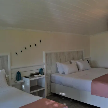 Le Petit Ve Bag Evi *