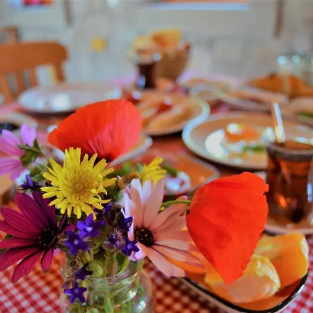 Otel Le Petit Ve Bag Evi *