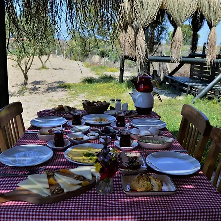 Otel Le Petit Ve Bag Evi *