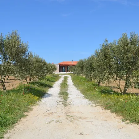 Le Petit Ve Bag Evi Otel *