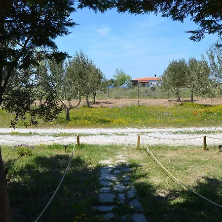 Le Petit Ve Bag Evi Bozcaada