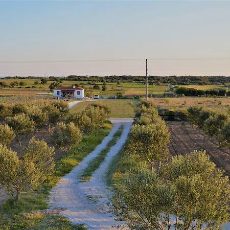 Otel Le Petit Ve Bag Evi