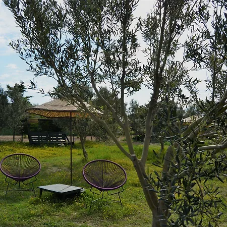 Otel Le Petit Ve Bag Evi