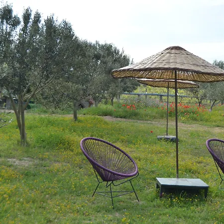 Otel Le Petit Ve Bag Evi Bozcaada