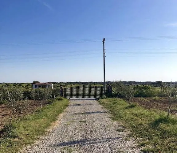 호텔 Le Petit Ve Bag Evi 보즈자아다