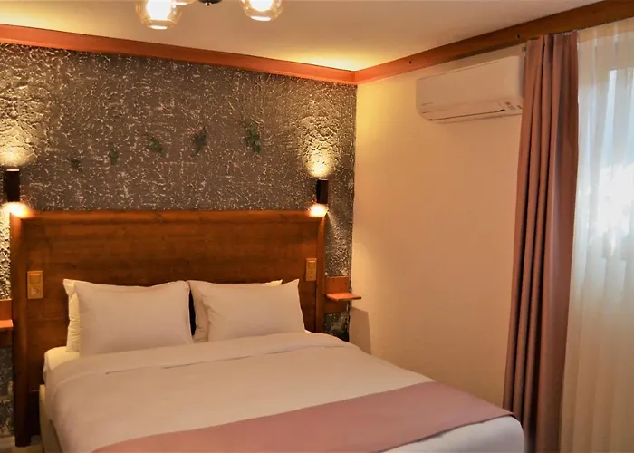 Le Petit Ve Bag Evi 호텔 보즈자아다