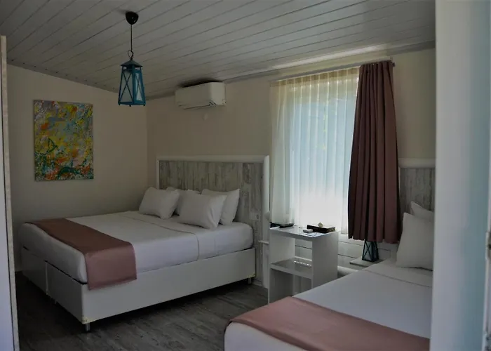 Le Petit Ve Bag Evi 보즈자아다