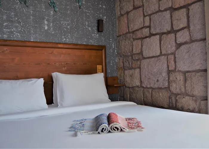 호텔 Le Petit Ve Bag Evi 보즈자아다