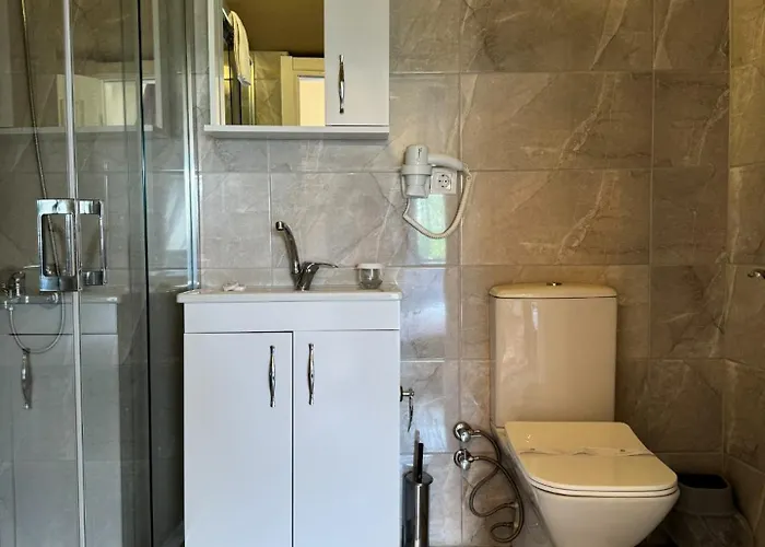 Le Petit Ve Bag Evi *