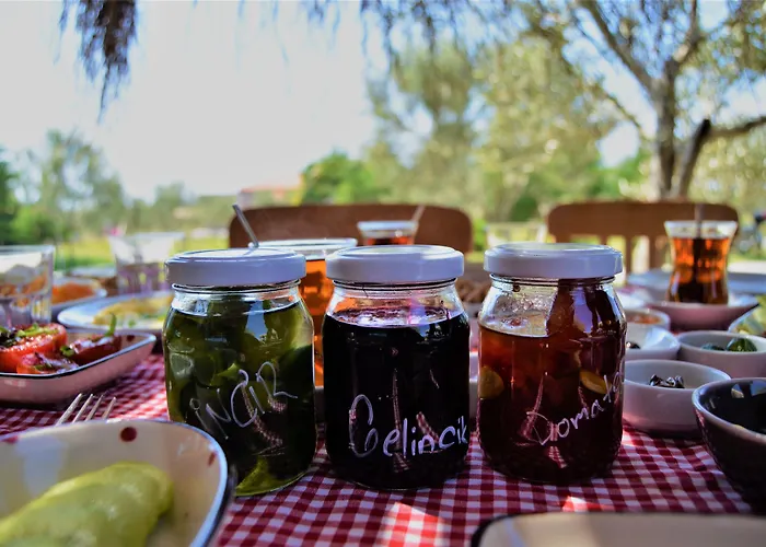 Le Petit Ve Bag Evi 호텔 *