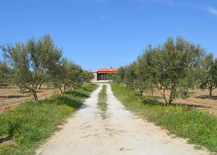 Le Petit Ve Bag Evi 호텔 *