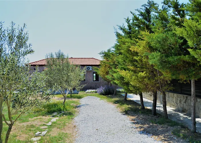 Le Petit Ve Bag Evi 호텔 보즈자아다