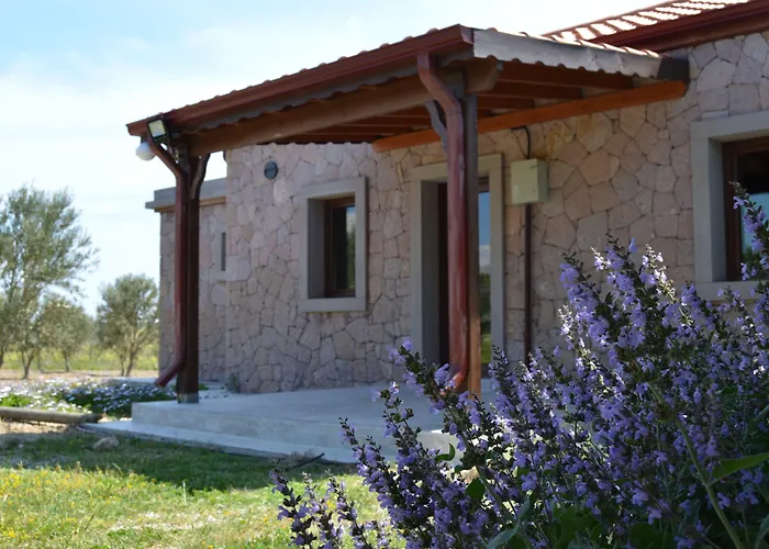 Le Petit Ve Bag Evi 보즈자아다