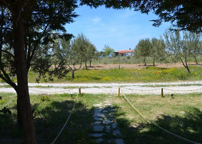 Le Petit Ve Bag Evi Бозджаада