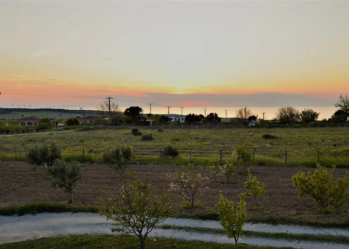 호텔 Le Petit Ve Bag Evi 보즈자아다