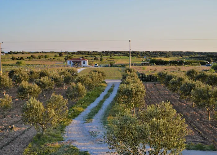 Отель Le Petit Ve Bag Evi