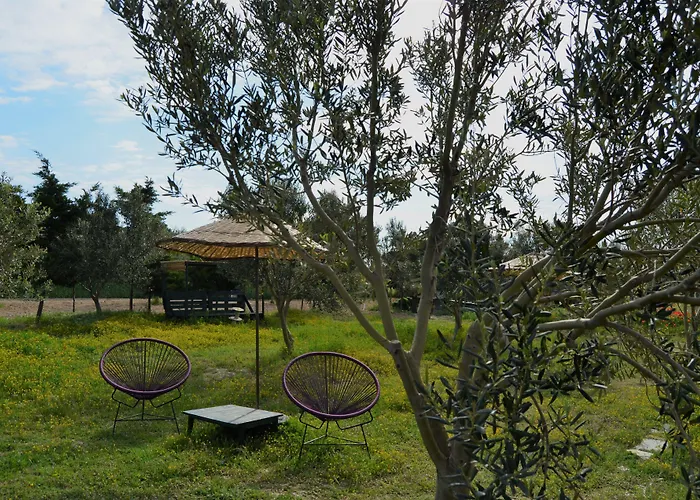 Отель Le Petit Ve Bag Evi