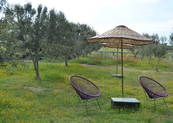 호텔 Le Petit Ve Bag Evi 보즈자아다